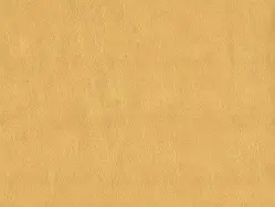 Шкірзам для меблів Родео 01