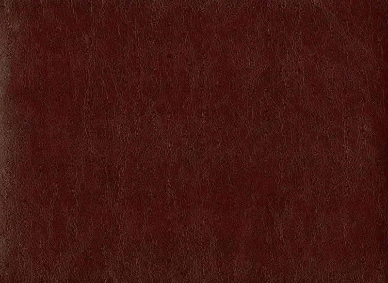 Шкірзам оббивний Родео 05, фото 1