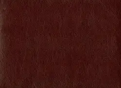 Шкірзам оббивний Родео 05