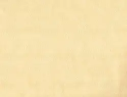 Шкірам оббивний Родео 10