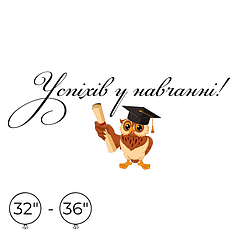 Наліпка на кулю 32"-36" - Успіхів у навчанні