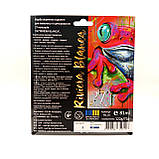 Фарба акрилова художня №2 - SEE (холодні тони) 16,7х19 см (FB-02), фото 2