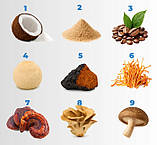 Набір з 2 штук розчинна грибна кава 9 в 1 Soplówka Clear Mushroom Coffee какао х2, фото 7