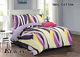 Комплект постільної білизни Elway з ковдрою 200см шт. 220 та подушкою 70x80см 3 частини, фото 9