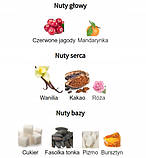 Lattafa Nebras 100 мл едп, фото 3