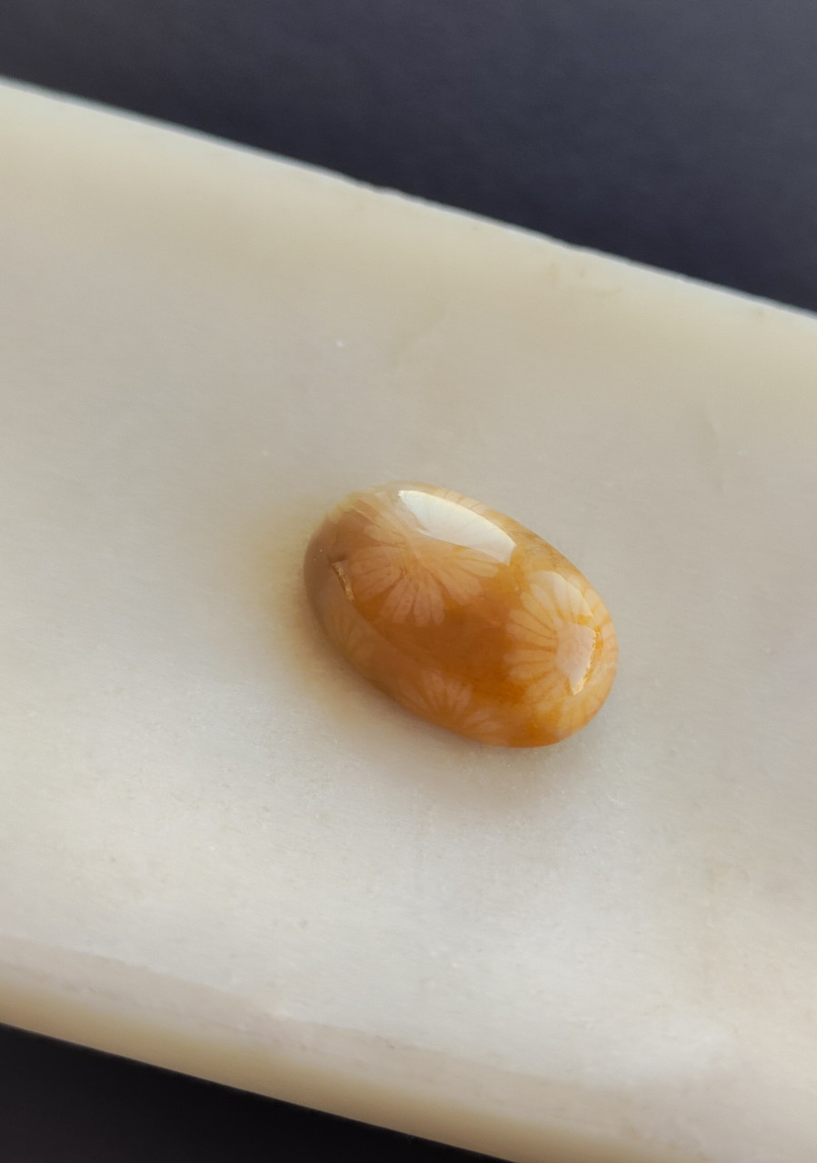 Корал камінь без оправи овал. Кабошон з коралу. Натуральний корал 19*12.5*7.5 мм., фото 1