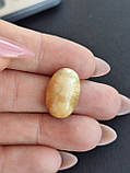 Корал камінь без оправи овал. Кабошон з коралу. Натуральний корал 19*12.5*7.5 мм., фото 2