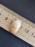 Корал камінь без оправи овал. Кабошон з коралу. Натуральний корал 19*12.5*7.5 мм., фото 8