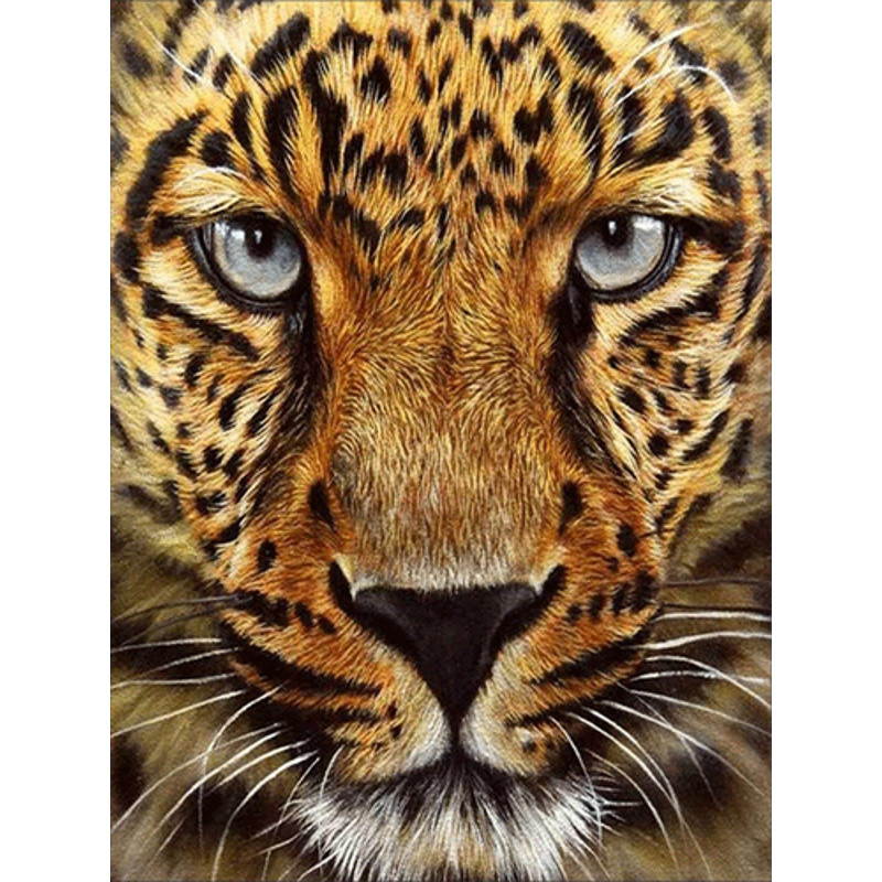 Набір для творчості алмазна картина Гепард Strateg розміром 30х40 см  (JSDF79613)