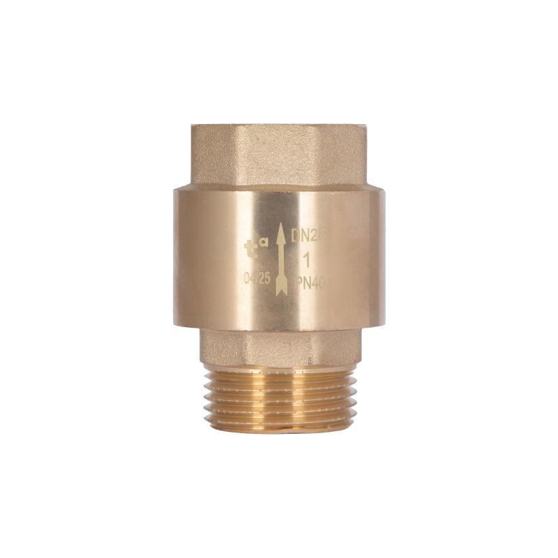 Клапан зворотний Thermo Alliance Standart 1"ВЗ із латунним штоком TAS248W25, фото 1