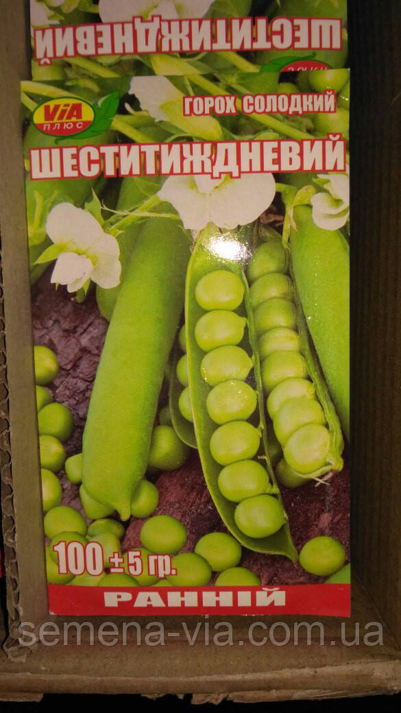 Насіння гороху Шестиньодельне (100 грамів) ТМ VIA плюс