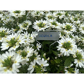 Табличка для рослин 25x6,6 см, 10 шт, алюміній, 
TYE256622AL/10B, фото 3