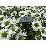 Табличка для рослин 25x6,6 см, 10 шт, алюміній,
TYE256622AL/10B, фото 3