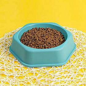 Миска для собак та котів пластикова, 17x5см, Бірюзова (Тарілка для води та корму)