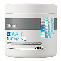 Амінокислота BCAA OstroVit BCAA + Glutamine, 200 грам Апельсин EXP