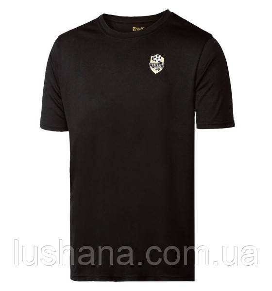 Чоловіча футболка Crivit для занять спортом р.S (р.44-46), фото 1