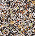 24 - Каатинги

(15кг), фото 2