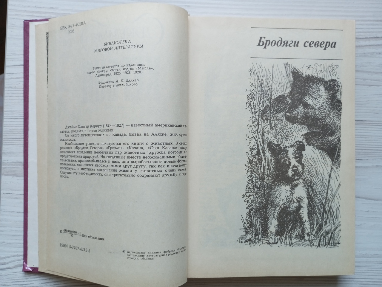 Product image preview