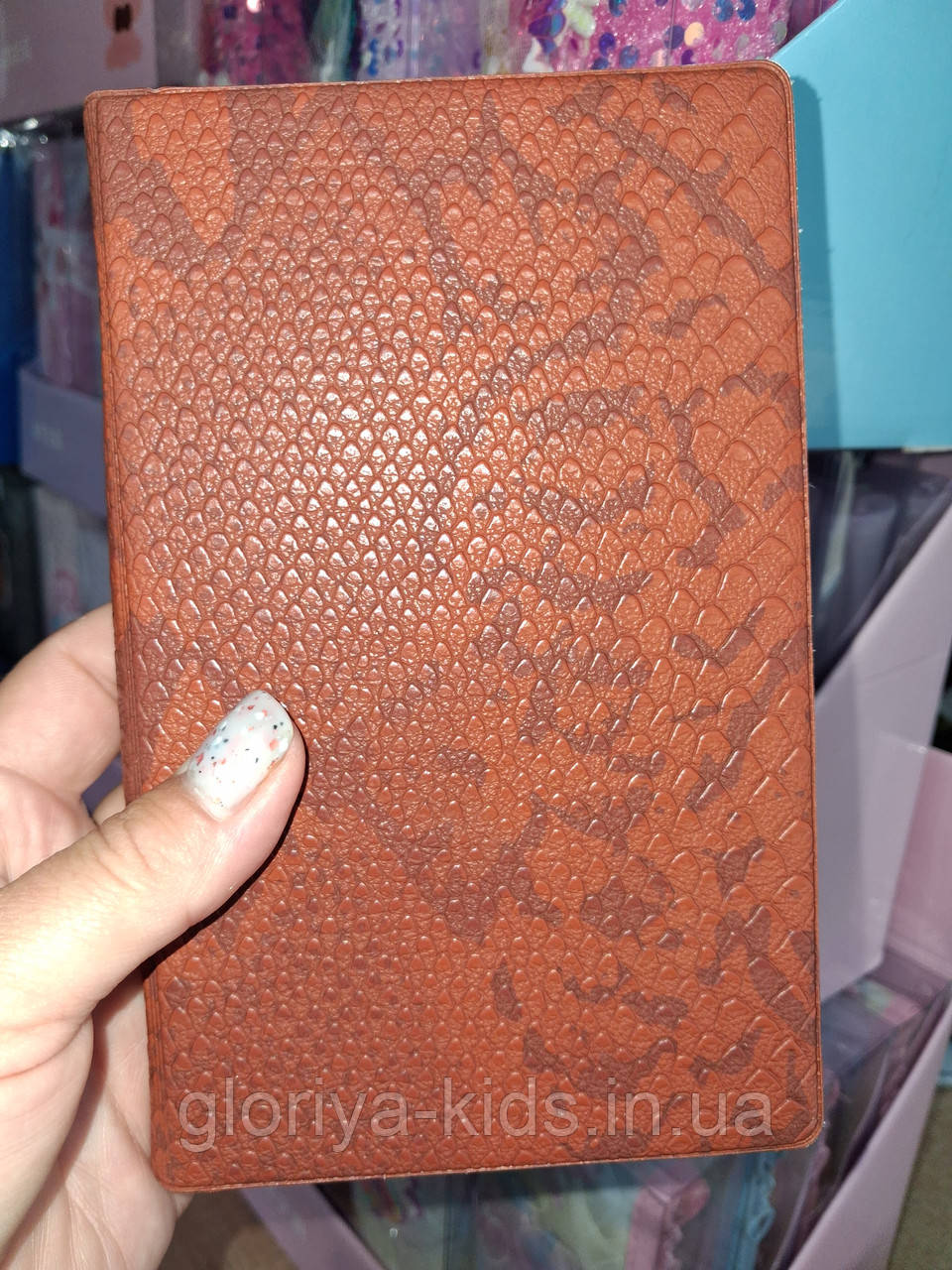 Альбом "Хамелеон" для 120 монет нумізмату,