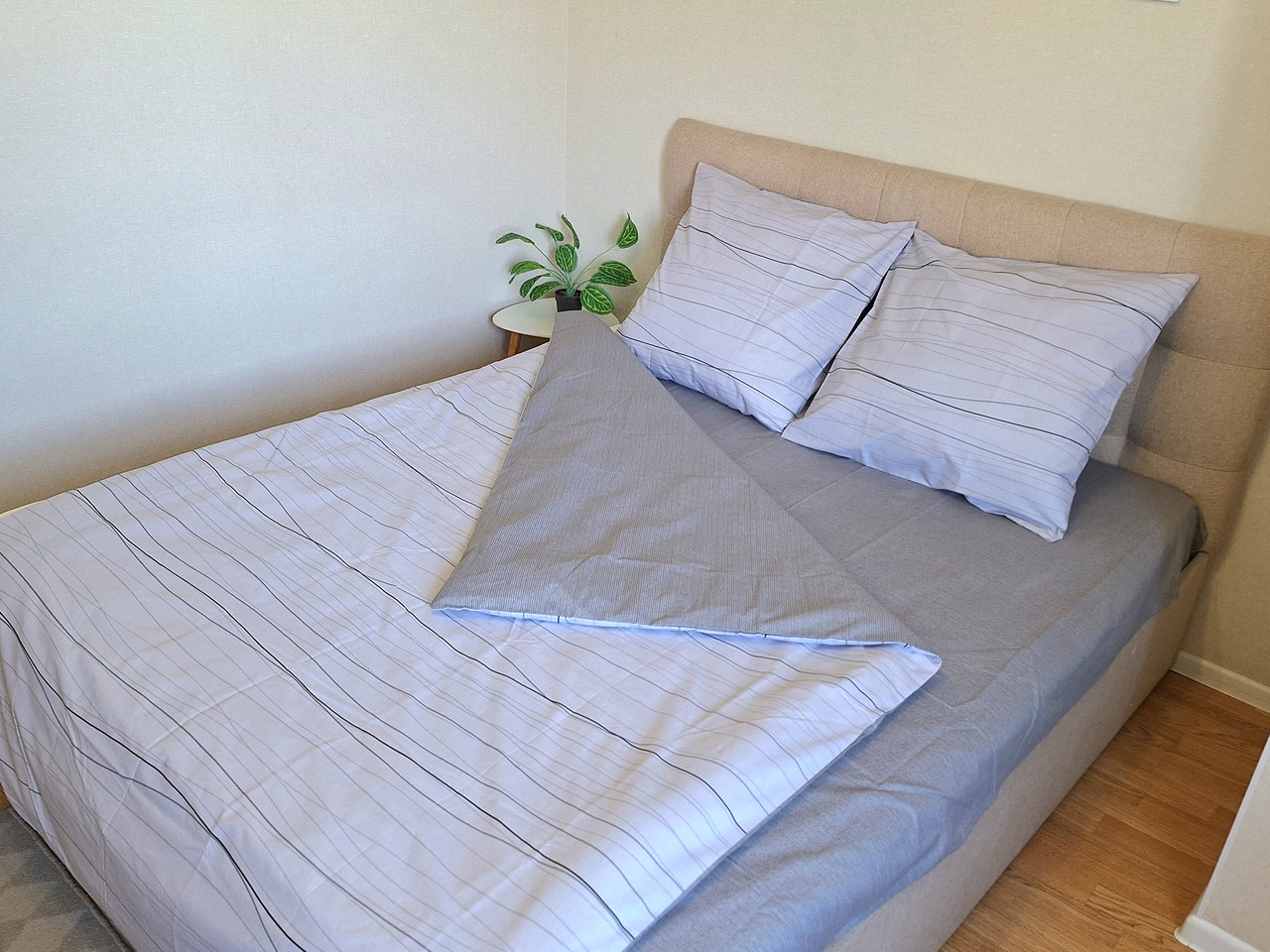 Постільна білизна Ранфорс 02, двоспальна 175х220 см, на кнопках