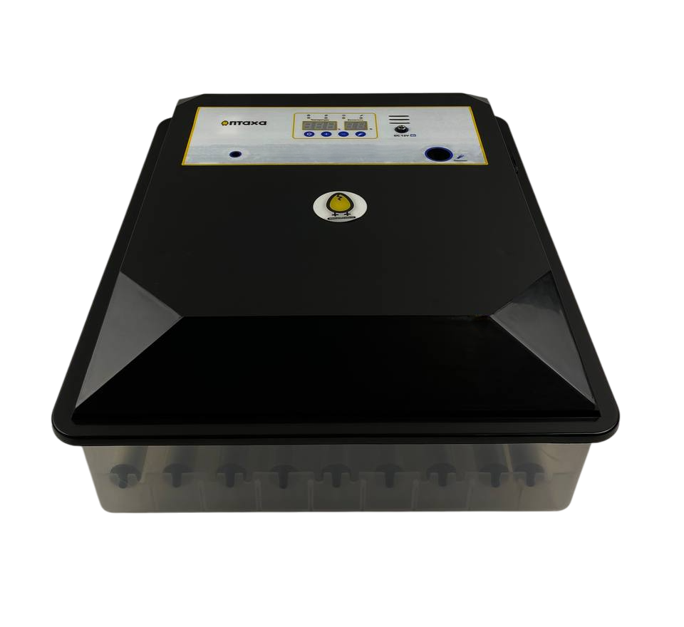 Інкубатор автоматичний Птаха 64-BLK (220/12V), фото 1