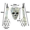 Скелет декорації череп і руки, фото 2