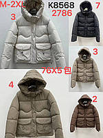 Куртки жіночі ( Розміри: 46-54 )