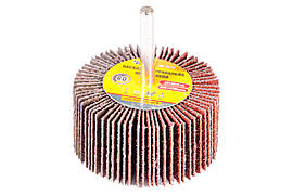 Круг пелюстковий в оправці Mastertool 60 х 30 мм Р60