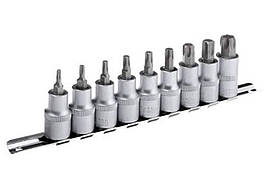 Набір головок Torx 1/2" Intertool 9 шт. (T20-T70)