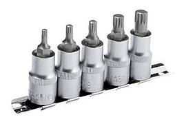 Набір сплайнів 1/2" Intertool 5 шт. (М5 6 8 10 і 12)