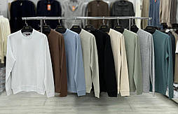 Чоловічий стильний лонгслів у бежевому та шоколадному кольорі