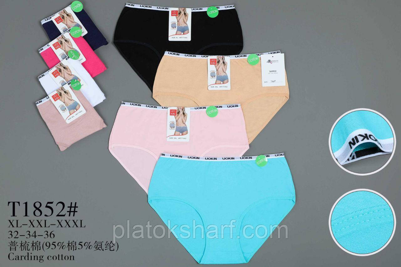 Жіночі труси Бавовна "Вудок" Максі батальні 48-56 (1852)