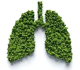 Хлорофіл натуральний питний без консервантів 20 мл Sadove, фото 4