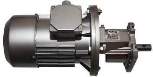 Мотор редуктор роздачі корму 2,2 кВт - 1:2.95 ROXELL автоматичне годування птиці, обладнання для пташників, фото 1