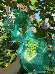 Захисні мішечки для грон винограду 28*40см, (5 кг) Опт