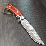 Ніж фіксований на подарунок 25,5 см, фото 3