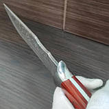 Ніж фіксований на подарунок 25,5 см, фото 2