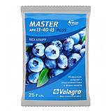 Добриво Мастер (Master) 13.40.13, Валагро (Valagro) Італія, 25 г, фото 2