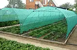 Сітка затіняюча 4×5м, 60% затінення, упакована. Для теплиць, навісів та городу., фото 4