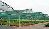 Сітка затіняюча 3×10м, 60% затінення, упакована. Для теплиць, навісів та городу., фото 5
