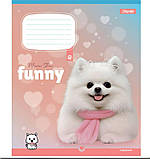 Зошит шкільний "Funny Pets" 12 аркушів у лінію, серія 1 Вересня, для дівчаток, фото 4