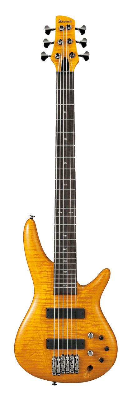 6-струнна бас-гітара IBANEZ GVB1006 AM, фото 1