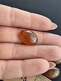 Кабошон овал з сердоліку. Камінь без оправи для ваших прикрас. Сердолік натуральний. Розмір 18*13*6.5 мм., фото 5