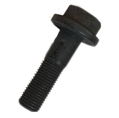 Болт Renault OE RENAULT 5010308039 оригінал