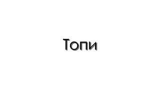 Топи
