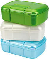 Ланч бокс (900мл, асортимент кольорів) ТехноК 7808