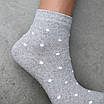 Шкарпетки жіночі 6 пар середньої висоти «Крапки» розмір 36-40 арт. 284.6, фото 9