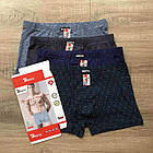 Боксери чоловічі труси бавовна Ромб Індена Білизна чоловіча боксерками, фото 2