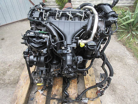 RHR Двигун Пежо Експерт III, фото 1