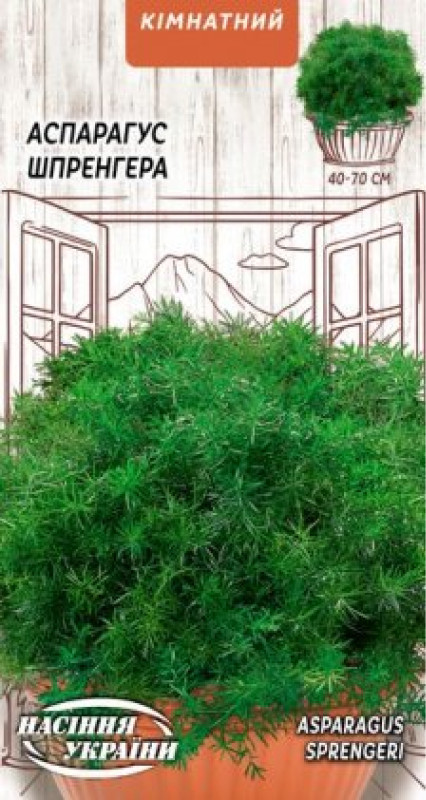 Насіння Квіти Аспарагус Шпренгера 0,2 г Насіння України